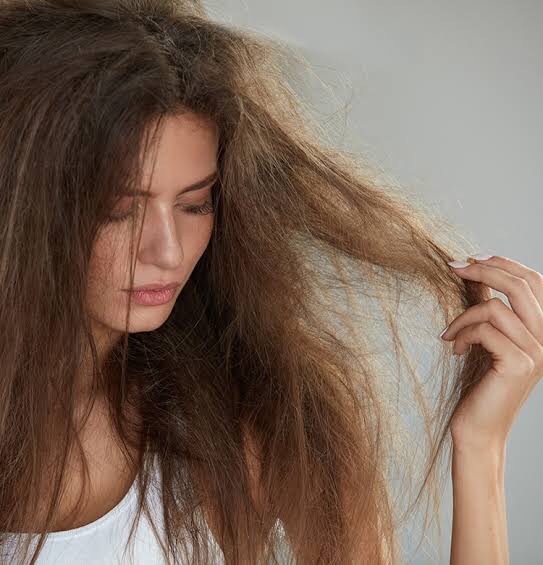 髪の乾燥による広がりを超簡単に抑える ヘアオイルの選び方と使い方 髪トレブログ
